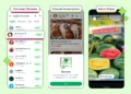 mobile mockups displaying whatsapp ads