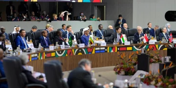 UAE invests $1B in Africa for G20 summit