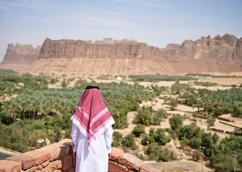 Saudi Arabia TourismX