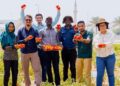 Terraxy raises $3m
