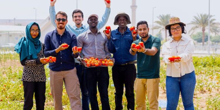 Terraxy raises $3m