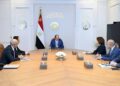 Orange Group CEO Christel Heydemann meeting Egyptian President Abdel Fattah El-Sisi in Cairo